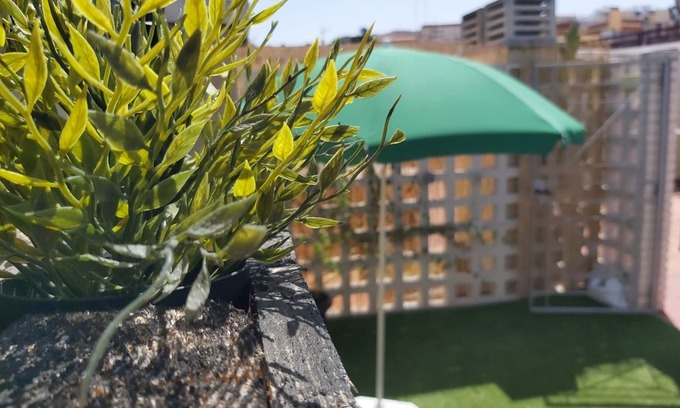 El Molinillo Apartamento | Del Parque Flats Estudio Solarium Molinillo