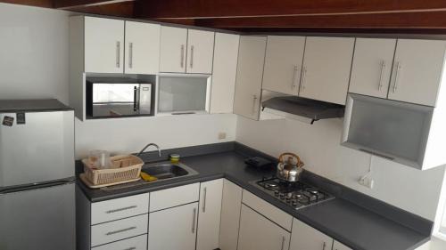 Pisco Apartamento | Delfines de Paracas