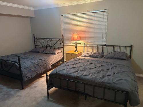Delta Casa | Delta Guest House
