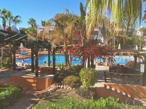 El Hadaba Apartamento | Delta Sharm luxury pool view apartment Shahrazad