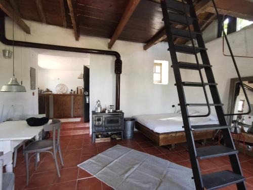 Arnaia Casa | Dendrocopos Medius