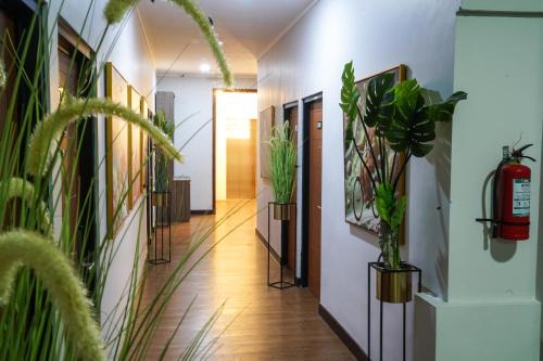 Bintaro Hotel | DENZ Express Bintaro