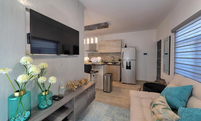 Aguascalientes Apartamento | Departamento amueblado Junior Suite