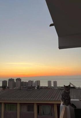 Antofagasta Apartamento | Departamento familiar en condominio