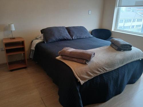 Osorno Apartamento | Departamentos MyL 505