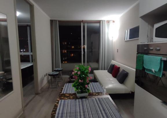 Vina del Mar Apartamento | Depto centrico viña