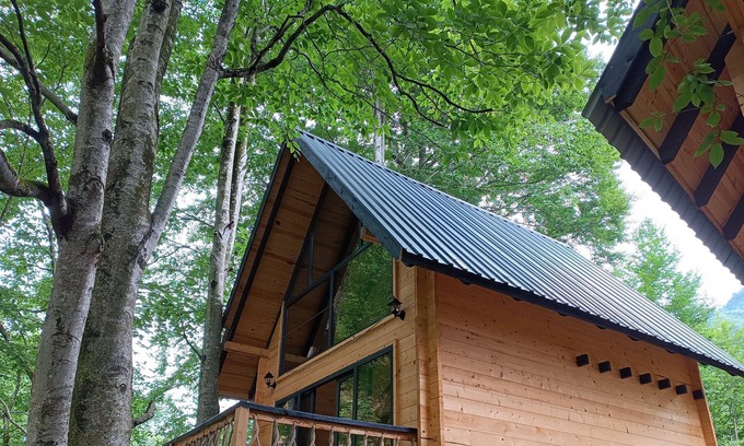 Rize Cabina | Dere Kenarı Orman içi dağ evi
