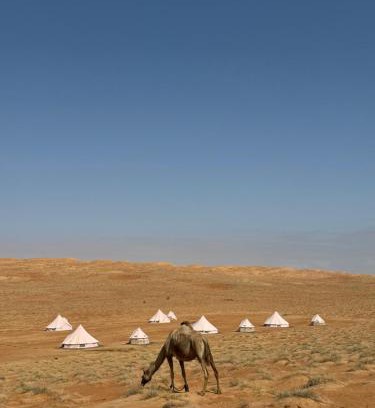 Bidiya Otro | Desert Diamond Private Camp