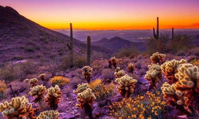 Oracle Heights Estates Casa | Desert Dreams & Group Adventures Await