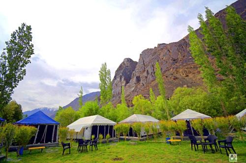 Hundur Otro | Desert Oasis Camp