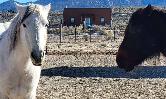 Ranchos De Taos Casa | Devine Casita - Stunning 360 Views! Dogs OK - Sweet Casita <1 mile to Trails