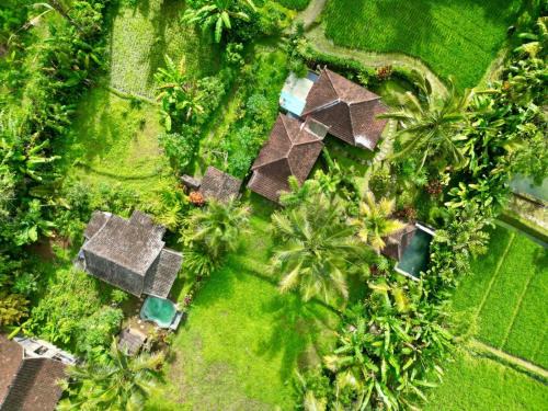 Sebatu Casa | Dewa Jati Cottages