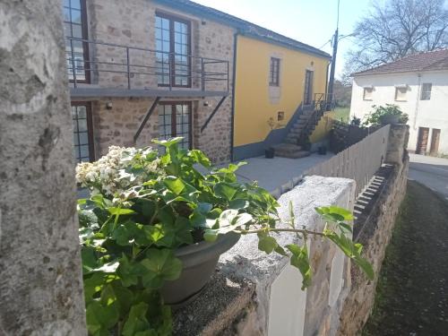 Coimbra Casa | DF Alojamentos e suites