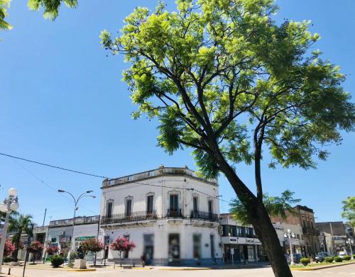 Esperanza Casa | Dia 32 Guest House