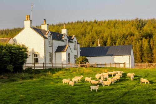 Castle Douglas Casa | Diamonds Laggan