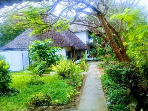 Diani Beach Casa | Diani Banda Cottages