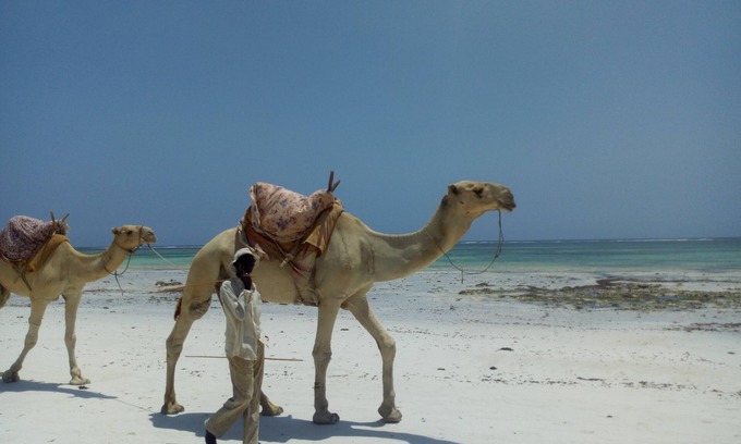 Ukunda Villa | Playa Diani Kenia. Un pequeño paraíso en la Tierra