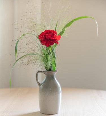 Lana Apartamento | Dianthus Apartment