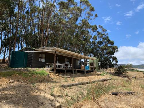 Caledon Casa | Die Boomhuis