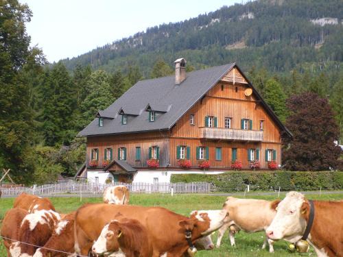 Bad Aussee Apartamento | Die Traunmühle