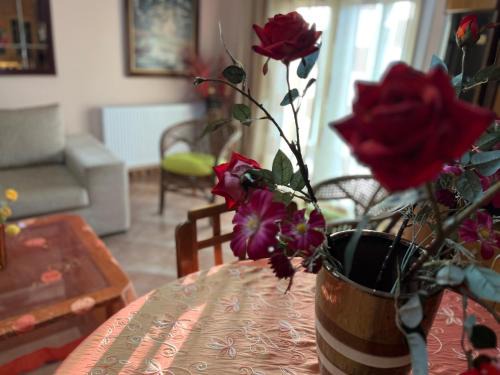 Nea Michaniona Apartamento | Dimi view home