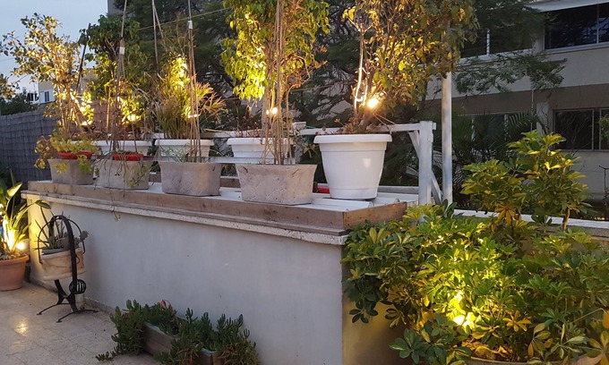 Qiryat Shaʼul Apartamento | Sumérjase en un apartamento de vacaciones o de negocios ecológico, BB por estancia, 5 minutos al centro