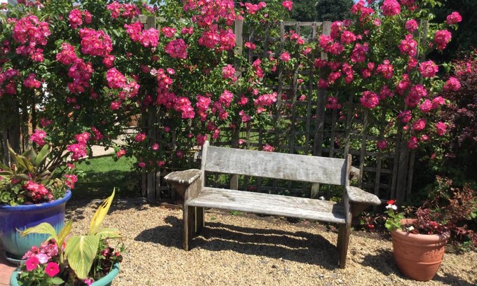 Pewsey Cama Y Desayuno | Bnb with accessible room with gorgeous garden and one accessible room