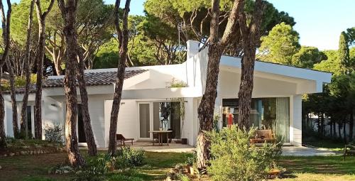 Los Franceses-la Vega Casa | Diseño y luz entre los pinos