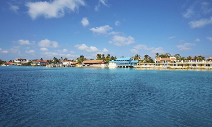 Playa Complejo | Divi Flamingo Beach Resort & Casino