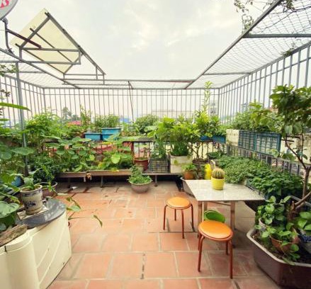 Van Mieu Apartamento | Doctor Homestay 6