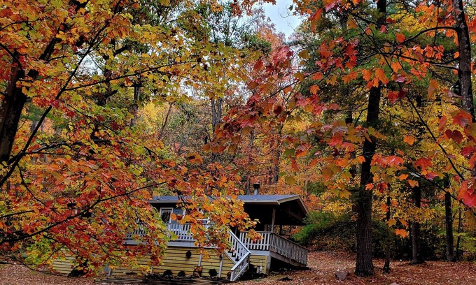 Hinton Cabina | Dog friendly cabin. Peaceful nature getaway.