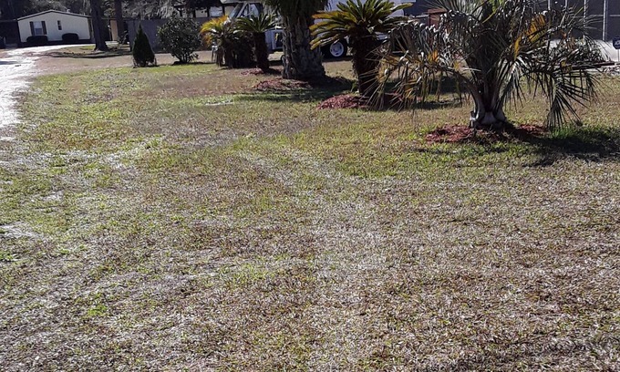 Crescent City Casa | Dog friendly vacation rental near St. Johns River