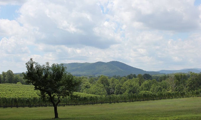 Mount Airy Casa | Se admiten perros Alquiler Casa / cabina en un Winery & Vineyard!