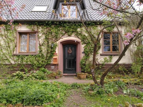 Dohm-Lammersdorf Apartamento | Dolcefarniente
