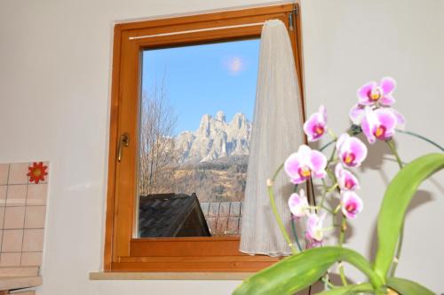 Fiera di Primiero Apartamento | Dolomitohouse PEZ