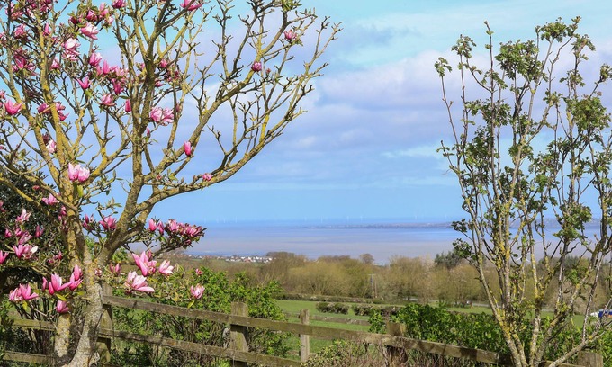 Dolphin Cabaña | DOLPHIN BACH, pet friendly, character holiday cottage in Dolphin