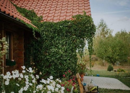 Miłomłyn Casa | Dom Gościnny Sowia Stópka