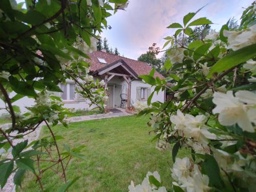 Pieniezno Casa | Dom na Warmii -Siedlisko Jabłonka