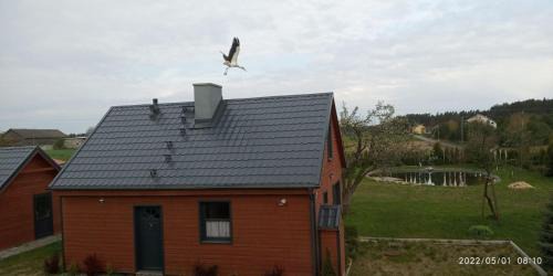 gmina Karsin Casa | Dom wakacyjny Poniatówka