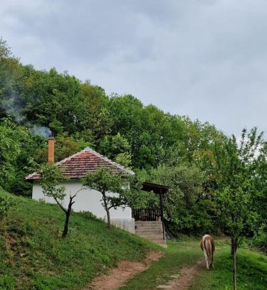Central Serbia Casa | Domaćinstvo Ristović