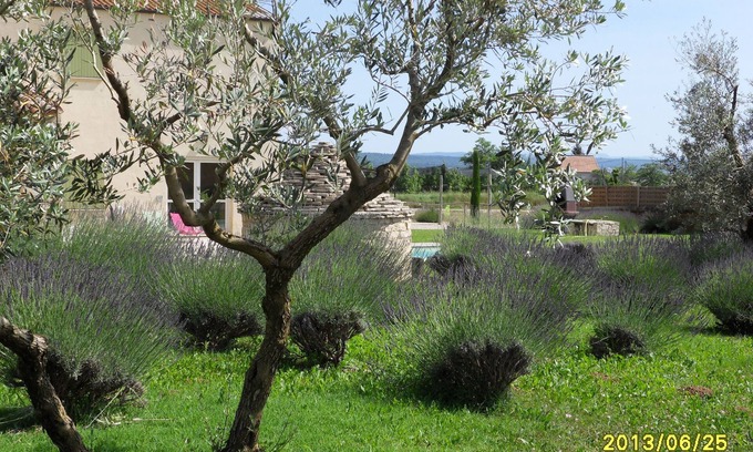 Manosque Otro | Dominio de botellas en el luberon: La Borie