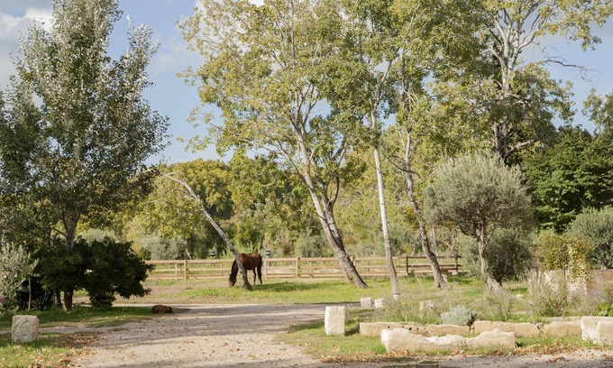 Paradou Otro | Domaine Cap Rubis, old oil mill charmingly renovated by an antique dealer.