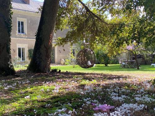 Notre-Dame-d'Oe Cama Y Desayuno | Domaine de La Soudelle