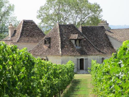 Boisse Casa | Domaine de Fumel Le Chai
