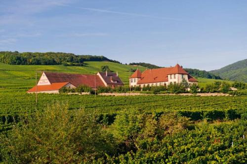 Bennwihr Apartamento | Domaine du Bouxhof