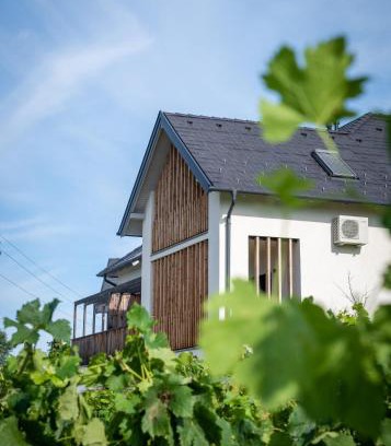 Badacsonytordemic Apartamento | Domaine Edegger - Organic Winery Badacsony