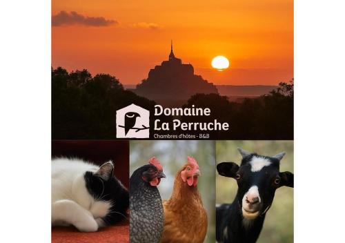 Servon Cama Y Desayuno | Domaine La Perruche Parenthèse poétique Vue Mont-Saint-Michel & Petit-déjeuner festin