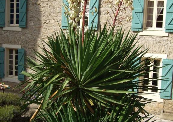 Ladern-sur-Lauquet Casa | Domaine Saint Andrieu