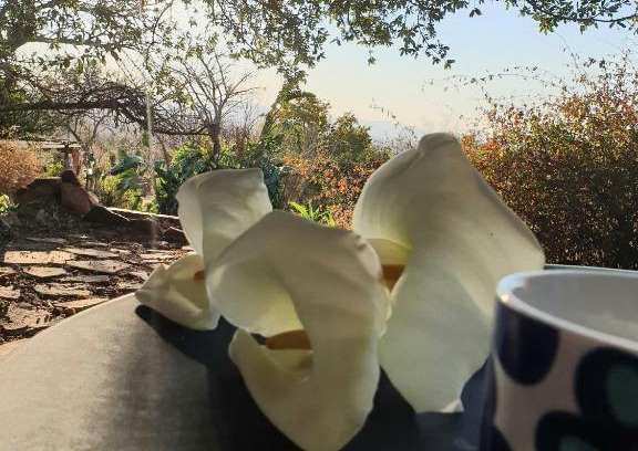 Rustenburg Otro | Dombeya Ridge Guest Suite
