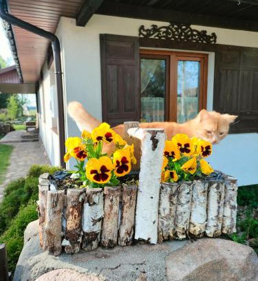 gmina Narew Casa | Domek Kutowa